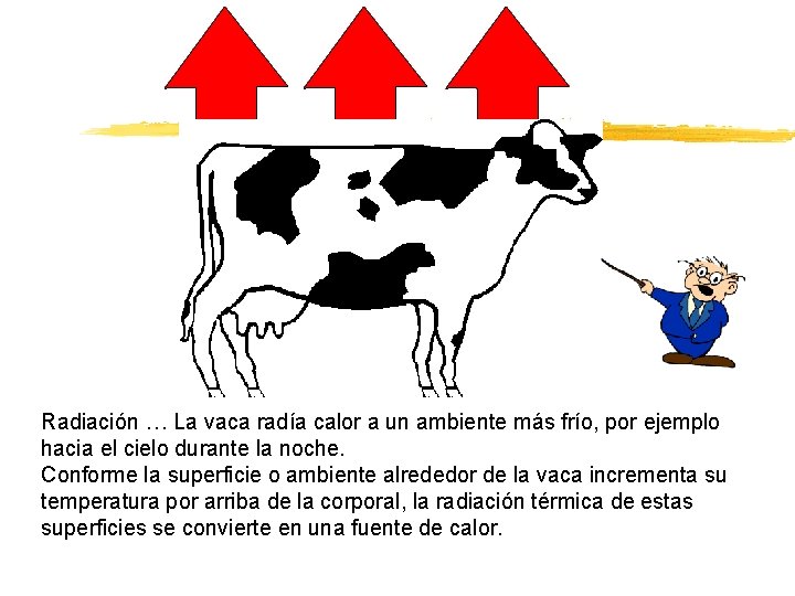 Radiación … La vaca radía calor a un ambiente más frío, por ejemplo hacia