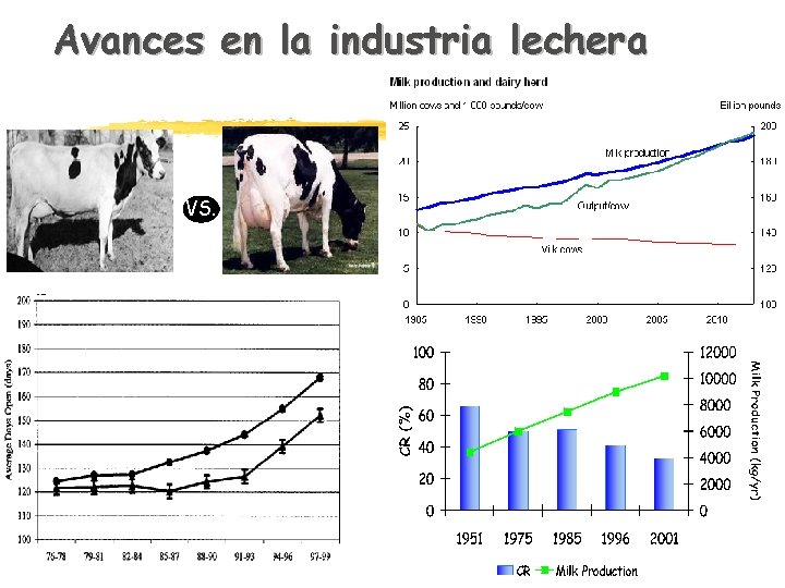 Avances en la industria lechera VS. 