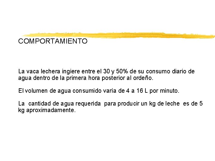 COMPORTAMIENTO La vaca lechera ingiere entre el 30 y 50% de su consumo diario