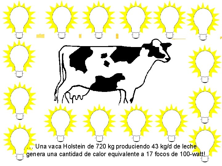 … Una vaca Holstein de 720 kg produciendo 43 kg/d de leche genera una