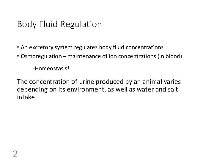 Body Fluid Regulation • An excretory system regulates body fluid concentrations • Osmoregulation –