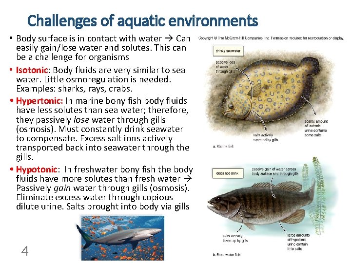 Challenges of aquatic environments • Body surface is in contact with water Can easily