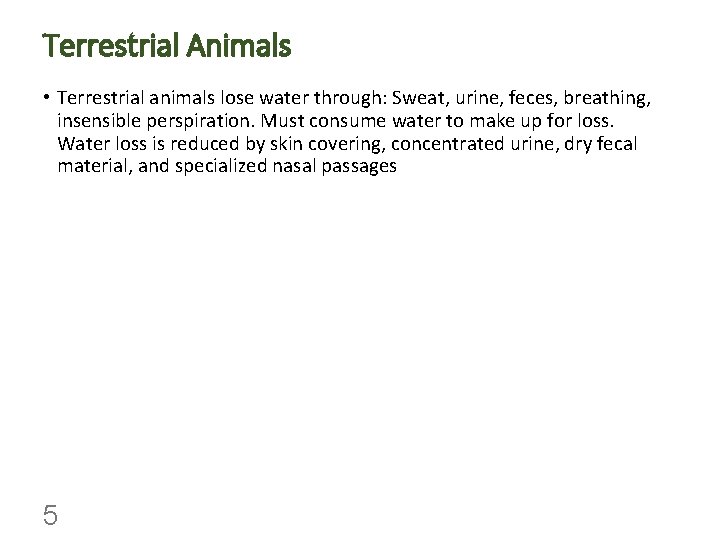 Terrestrial Animals • Terrestrial animals lose water through: Sweat, urine, feces, breathing, insensible perspiration.