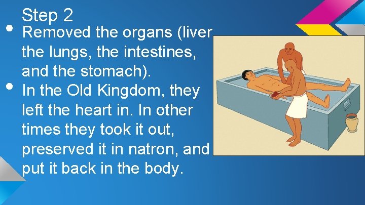 Step 2 • Removed the organs (liver, • the lungs, the intestines, and the