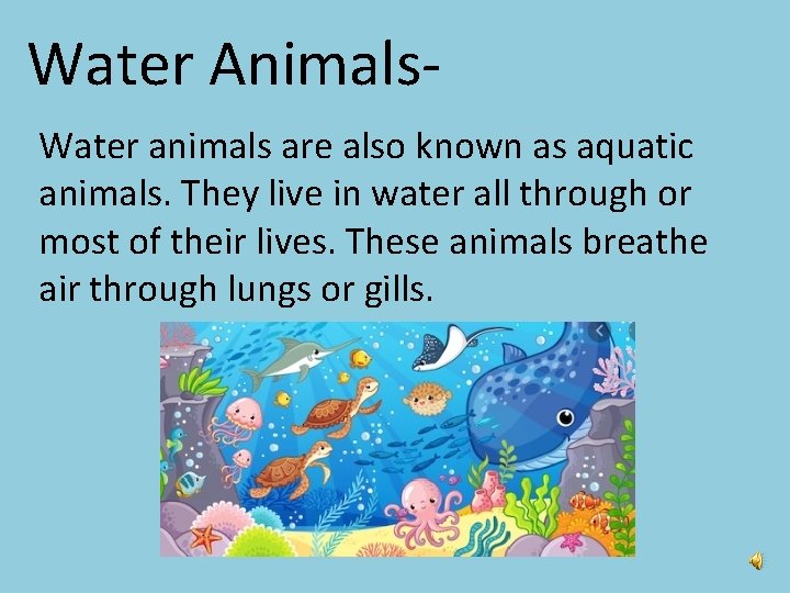 Water Animals. Water animals are also known as aquatic animals. They live in water