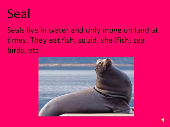 Seals live in water and only move on land at times. They eat fish,