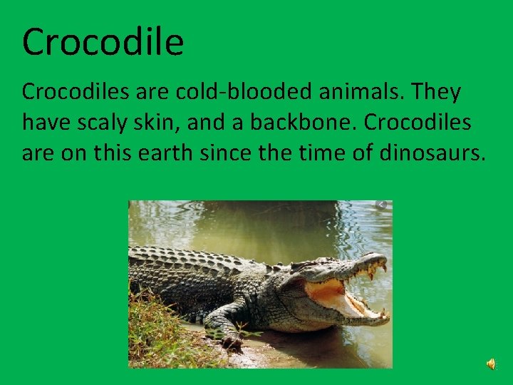Crocodiles are cold-blooded animals. They have scaly skin, and a backbone. Crocodiles are on