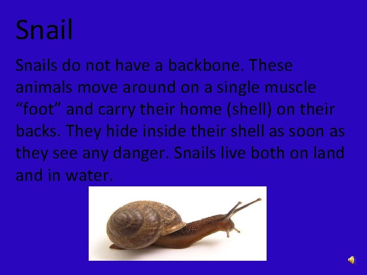 Snails do not have a backbone. These animals move around on a single muscle