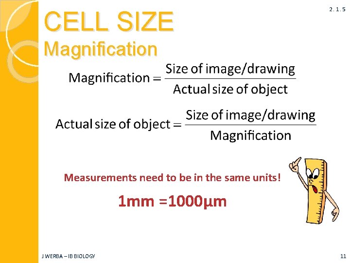 CELL SIZE 2. 1. 5 Magnification Measurements need to be in the same units!
