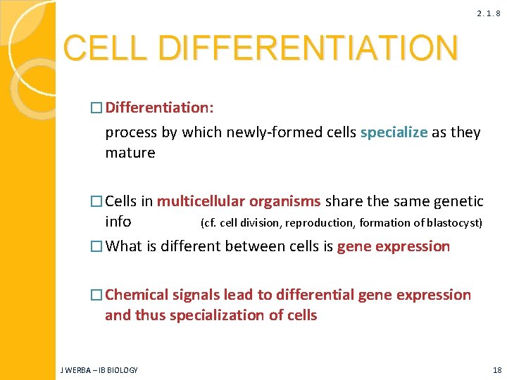 2. 1. 8 CELL DIFFERENTIATION � Differentiation: process by which newly-formed cells specialize as