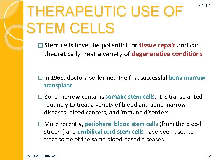 THERAPEUTIC USE OF STEM CELLS 2. 1. 10 � Stem cells have the potential
