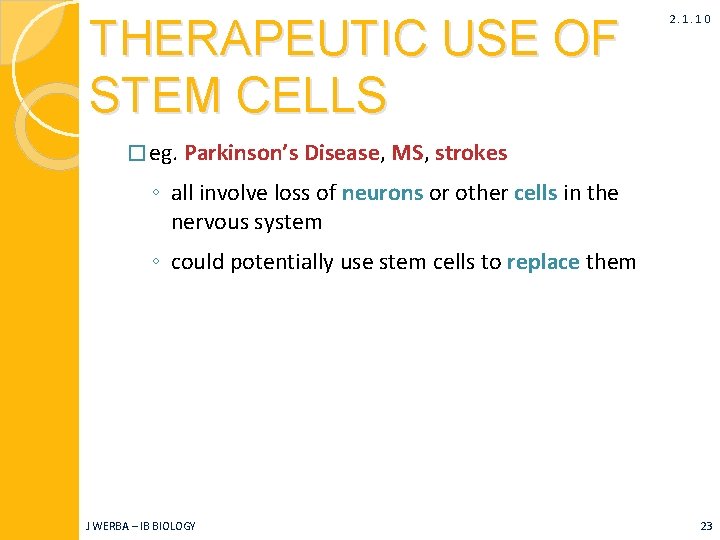 THERAPEUTIC USE OF STEM CELLS 2. 1. 10 � eg. Parkinson’s Disease, MS, strokes