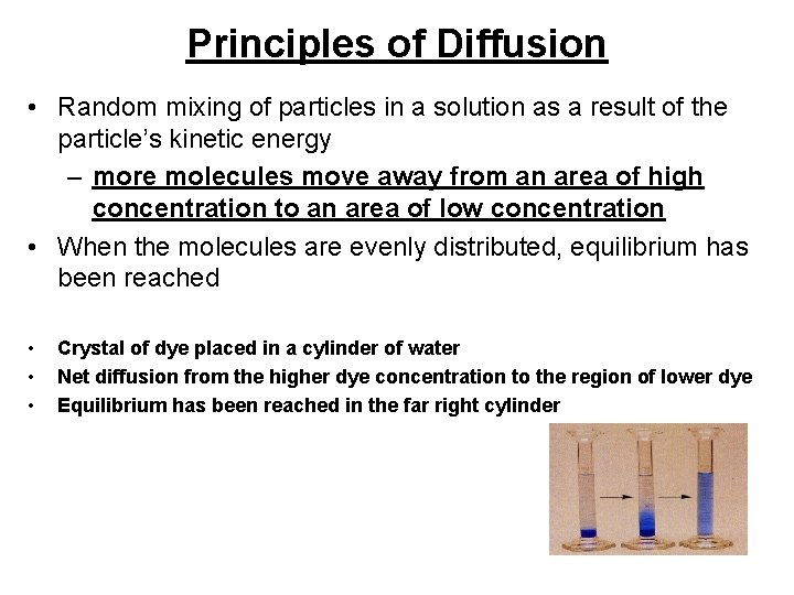 Principles of Diffusion • Random mixing of particles in a solution as a result