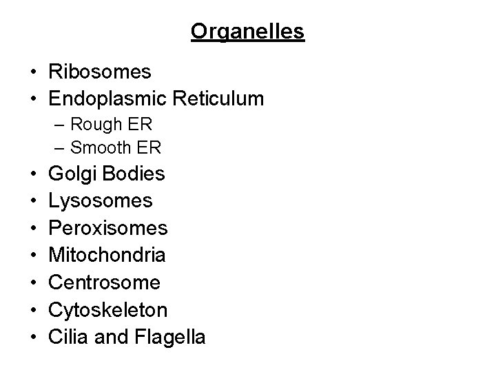 Organelles • Ribosomes • Endoplasmic Reticulum – Rough ER – Smooth ER • •