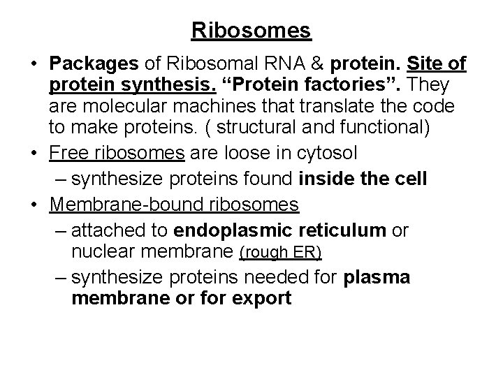 Ribosomes • Packages of Ribosomal RNA & protein. Site of protein synthesis. “Protein factories”.