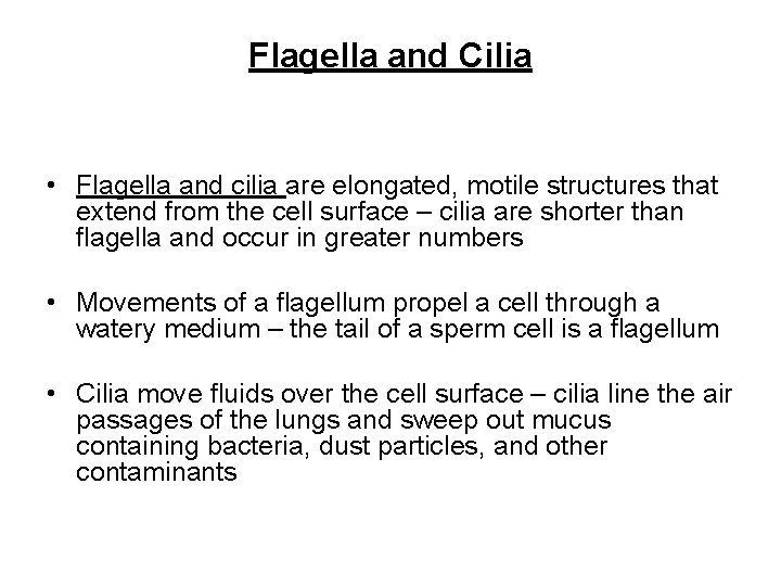 Flagella and Cilia • Flagella and cilia are elongated, motile structures that extend from