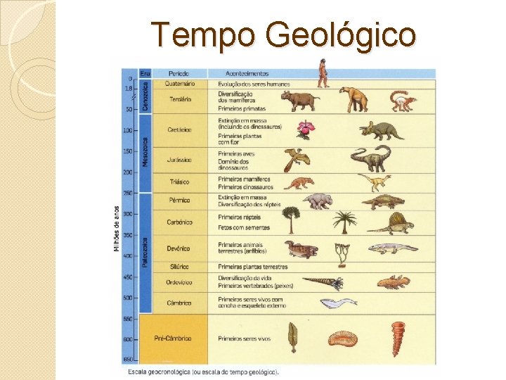 Tempo Geológico 