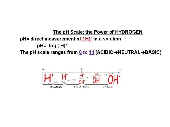 The p. H Scale: the Power of HYDROGEN p. H= direct measurement of [