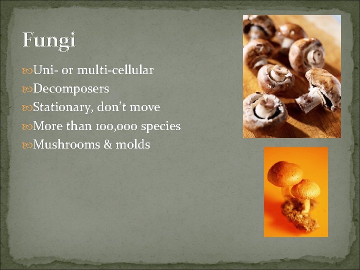 Fungi Uni- or multi-cellular Decomposers Stationary, don’t move More than 100, 000 species Mushrooms