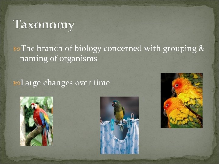 Taxonomy The branch of biology concerned with grouping & naming of organisms Large changes