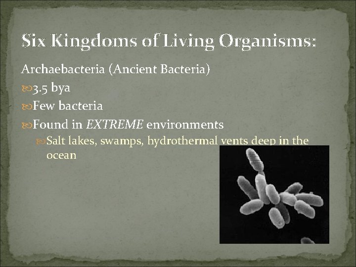 Six Kingdoms of Living Organisms: Archaebacteria (Ancient Bacteria) 3. 5 bya Few bacteria Found