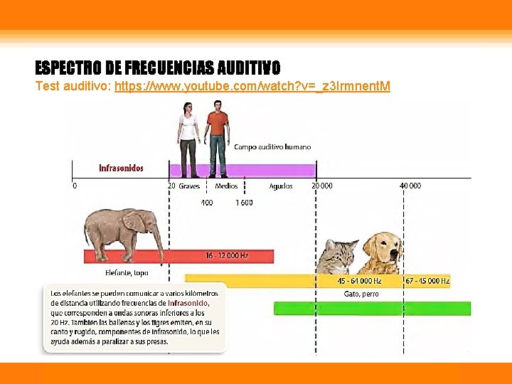 ESPECTRO DE FRECUENCIAS AUDITIVO Test auditivo: https: //www. youtube. com/watch? v=_z 3 Irmnent. M