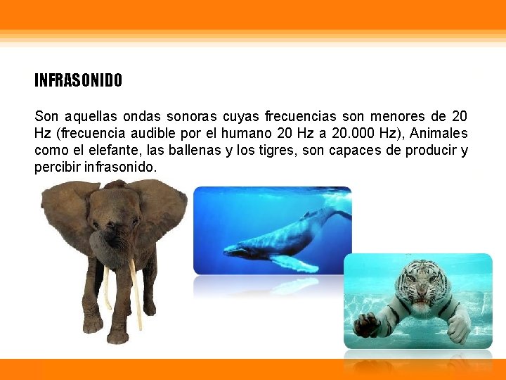 INFRASONIDO Son aquellas ondas sonoras cuyas frecuencias son menores de 20 Hz (frecuencia audible