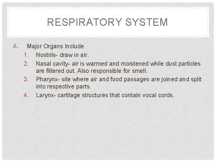 RESPIRATORY SYSTEM A. Major Organs Include 1. Nostrils- draw in air. 2. Nasal cavity-