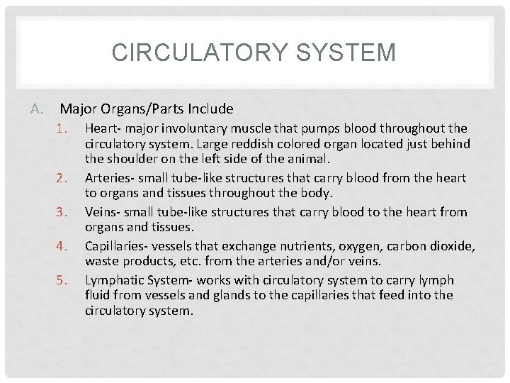 CIRCULATORY SYSTEM A. Major Organs/Parts Include 1. 2. 3. 4. 5. Heart- major involuntary