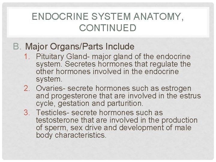 ENDOCRINE SYSTEM ANATOMY, CONTINUED B. Major Organs/Parts Include 1. Pituitary Gland- major gland of