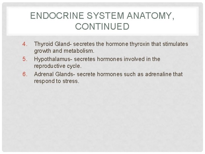 ENDOCRINE SYSTEM ANATOMY, CONTINUED 4. 5. 6. Thyroid Gland- secretes the hormone thyroxin that