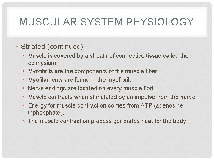 MUSCULAR SYSTEM PHYSIOLOGY • Striated (continued) • Muscle is covered by a sheath of