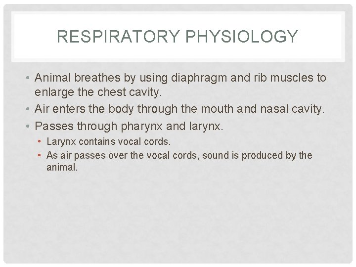 RESPIRATORY PHYSIOLOGY • Animal breathes by using diaphragm and rib muscles to enlarge the