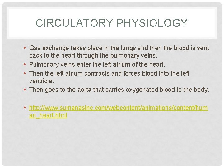 CIRCULATORY PHYSIOLOGY • Gas exchange takes place in the lungs and then the blood