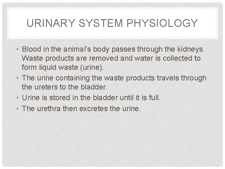 URINARY SYSTEM PHYSIOLOGY • Blood in the animal’s body passes through the kidneys. Waste