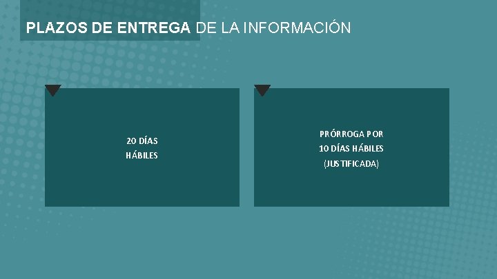 PLAZOS DE ENTREGA DE LA INFORMACIÓN 20 DÍAS HÁBILES PRÓRROGA POR 10 DÍAS HÁBILES