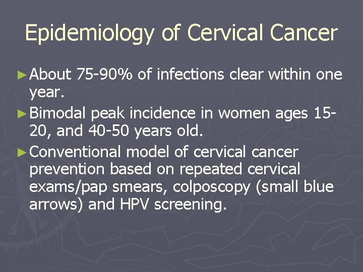 Epidemiology of Cervical Cancer ► About 75 -90% of infections clear within one year.