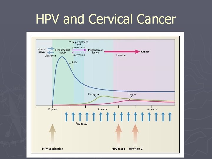 HPV and Cervical Cancer 