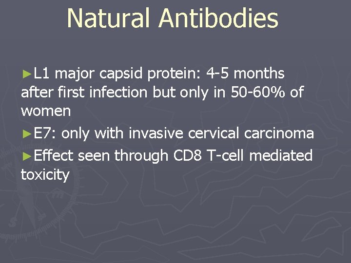 Natural Antibodies ►L 1 major capsid protein: 4 -5 months after first infection but