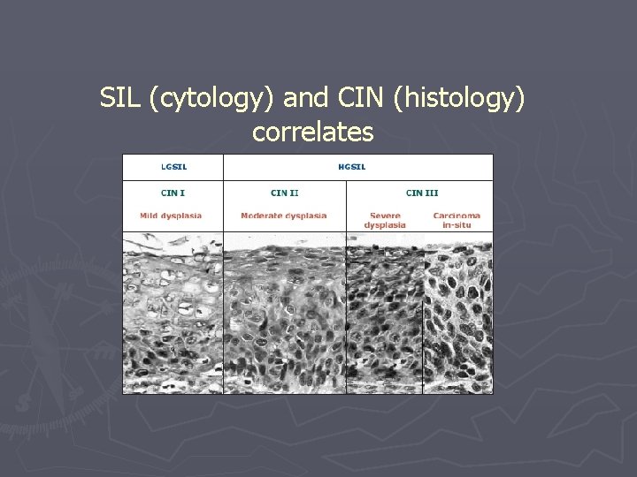 SIL (cytology) and CIN (histology) correlates 