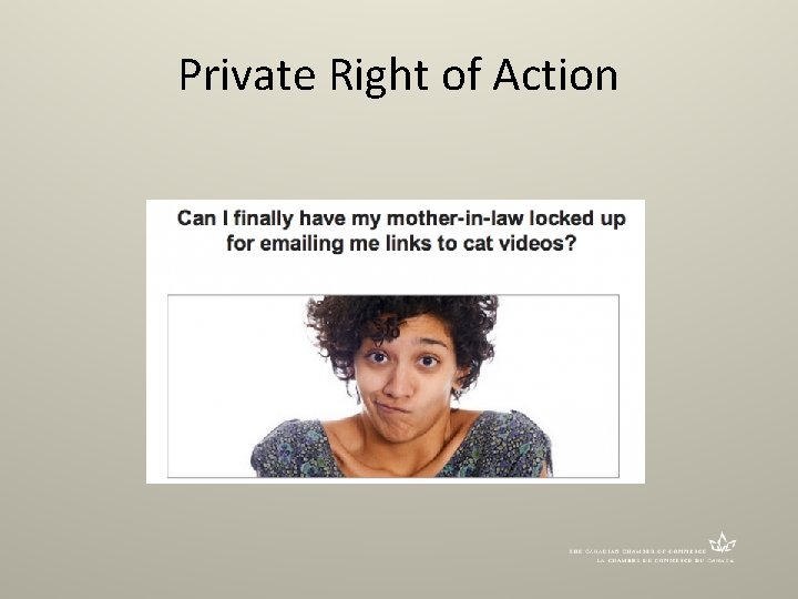 Private Right of Action 