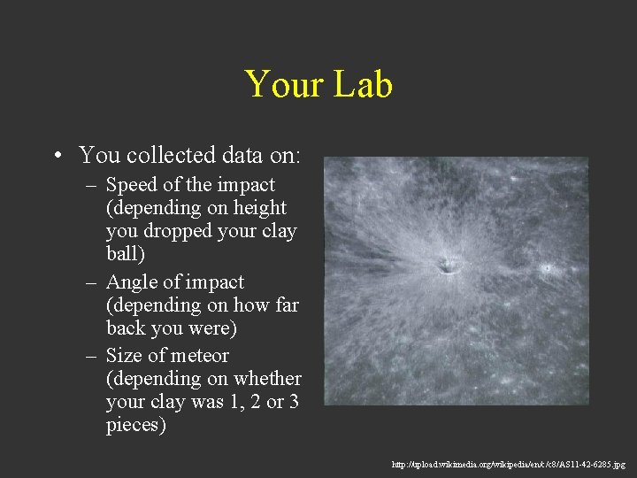 Your Lab • You collected data on: – Speed of the impact (depending on