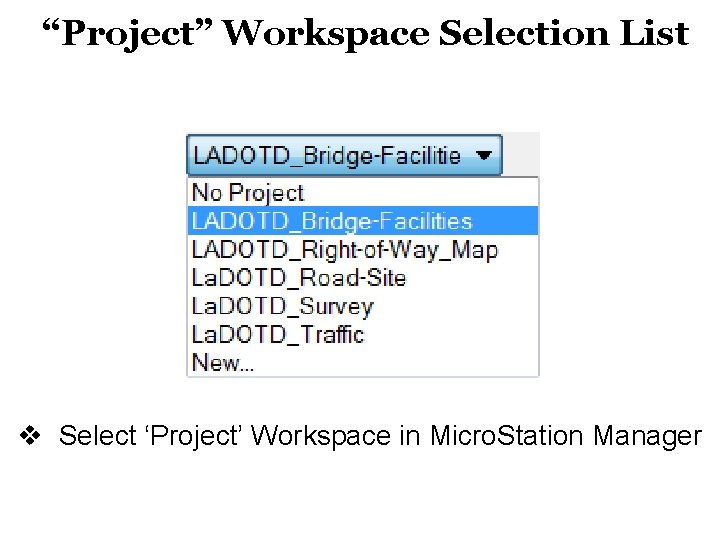 “Project” Workspace Selection List v Select ‘Project’ Workspace in Micro. Station Manager 