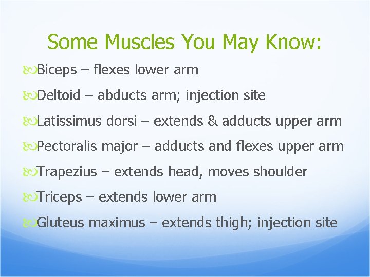 Some Muscles You May Know: Biceps – flexes lower arm Deltoid – abducts arm;