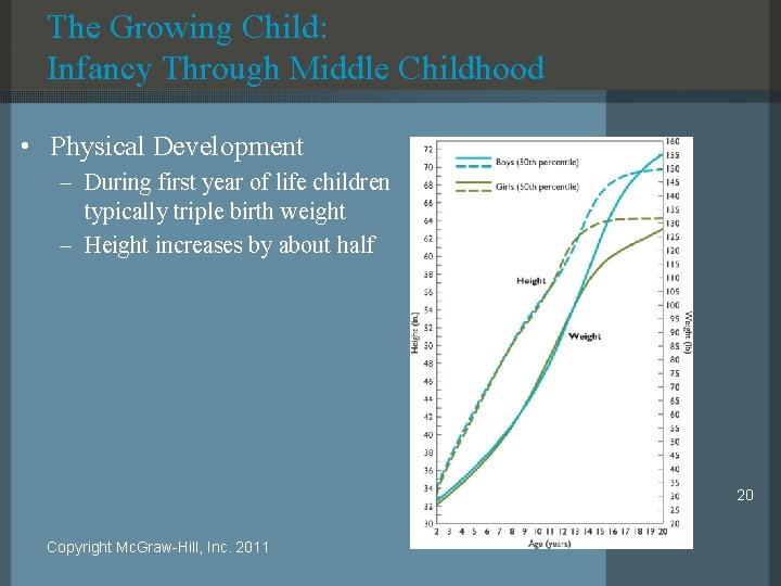 The Growing Child: Infancy Through Middle Childhood • Physical Development – During first year