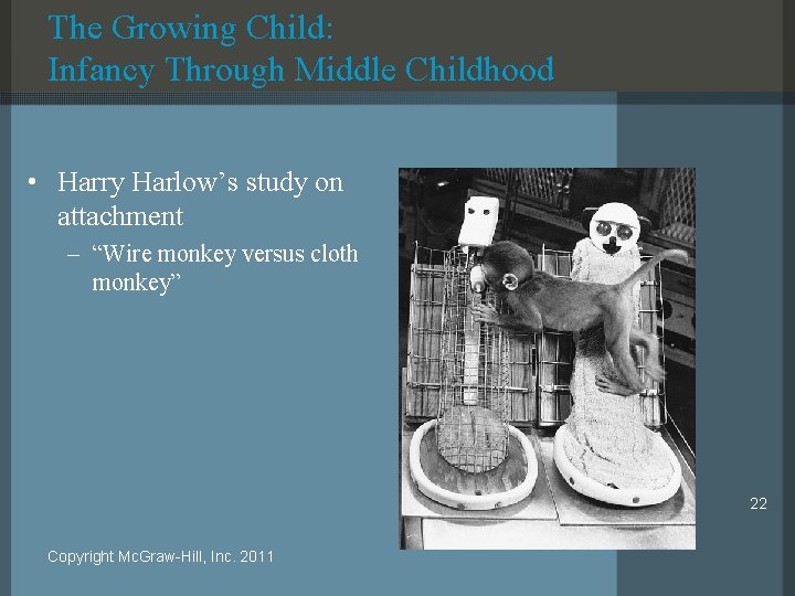 The Growing Child: Infancy Through Middle Childhood • Harry Harlow’s study on attachment –