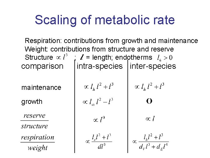 Scaling of metabolic rate Respiration: contributions from growth and maintenance Weight: contributions from structure