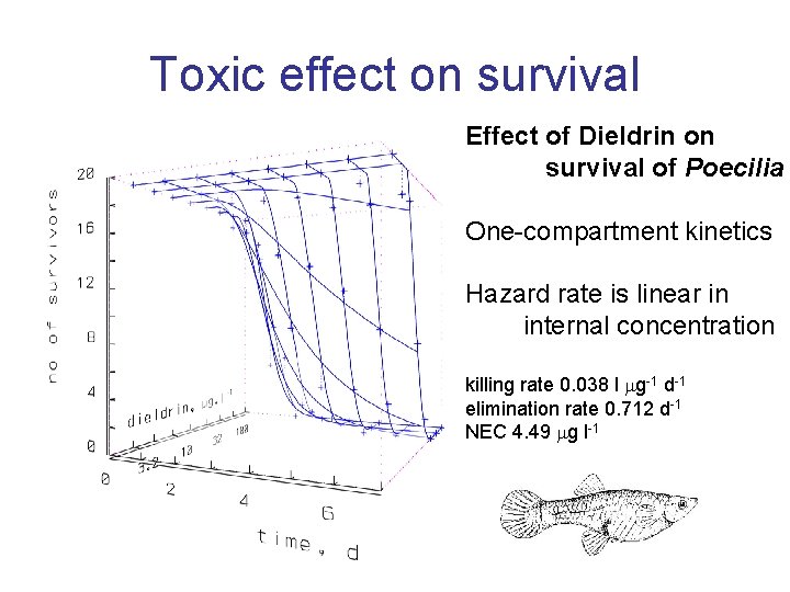 Toxic effect on survival Effect of Dieldrin on survival of Poecilia One-compartment kinetics Hazard