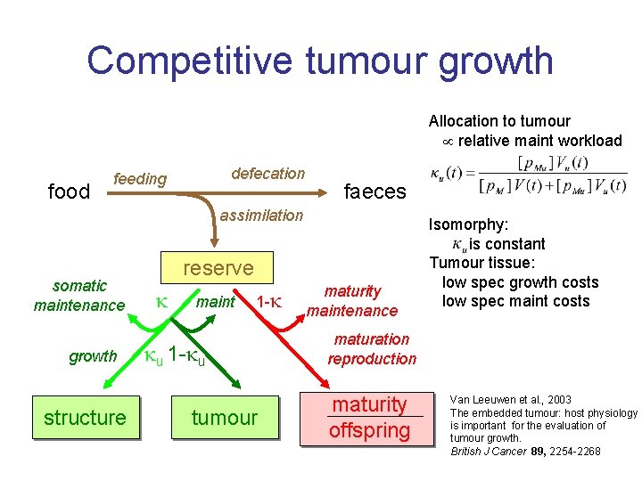 Competitive tumour growth Allocation to tumour relative maint workload food defecation feeding faeces assimilation