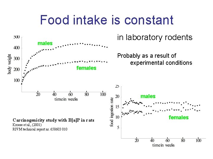 Food intake is constant in laboratory rodents males females Probably as a result of